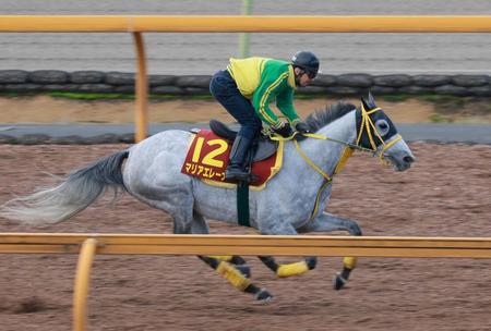 　好時計を刻んだマリアエレーナ（撮影・石湯恒介）