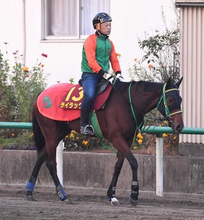 【エリザベス女王杯】ライラック なるか激走再び　昨年１２番人気で２着同着の実力健在
