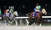 ロジータ記念を制したメイドイットナム（右）＝川崎競馬場