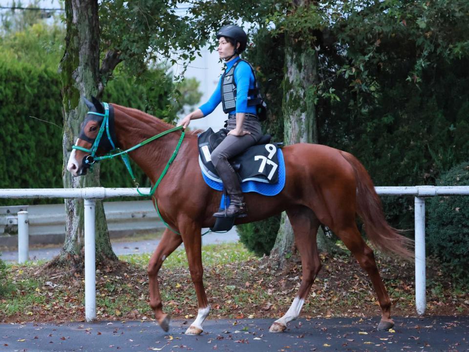 　着々と調整が進むフルレゾン