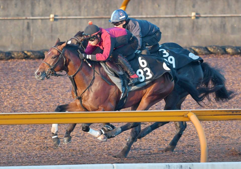 　ダノンキラウェア