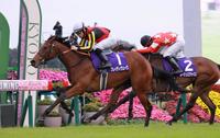 　キャリア５戦目で古馬Ｇ１を制したブレイディヴェーグ（撮影・石湯恒介）