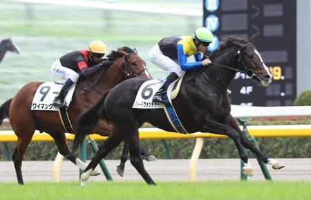 バードウォッチャー（右）