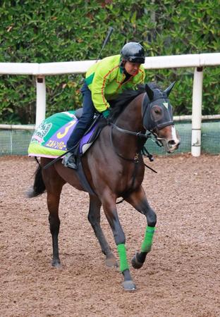 【マイルＣＳ】エルトンバローズ　４枠７番に杉山晴師「いい枠」　５連勝で一気戴冠だ