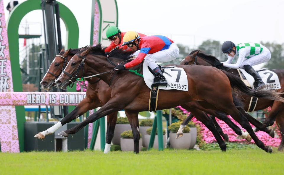 好カードの京都で勝ち上がったアドミラルシップ