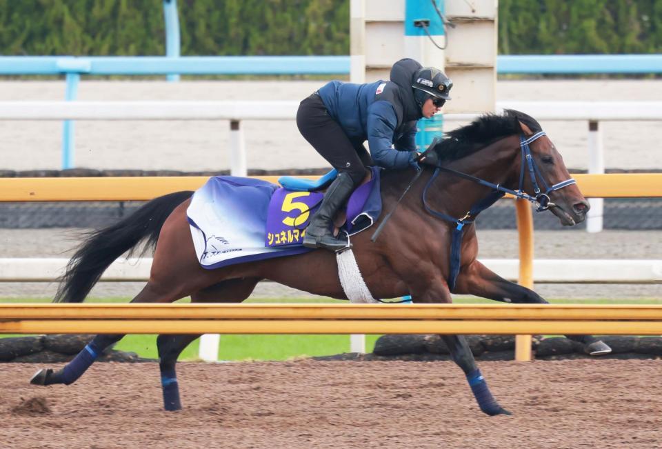 　シュネルマイスター