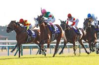 　代役の藤岡康がナミュール（中央）をＧ１勝利に導いた（撮影・石湯恒介）