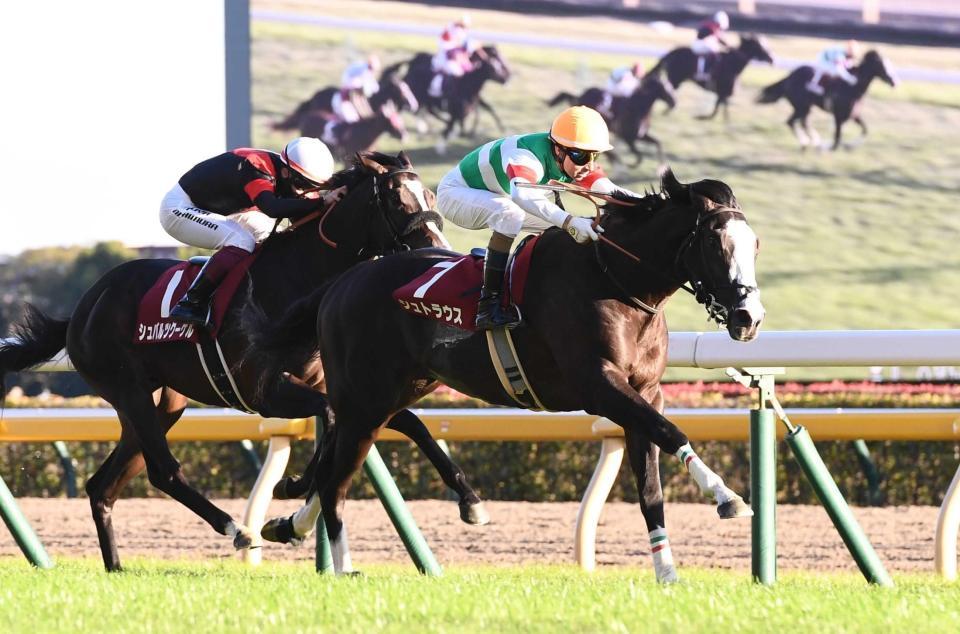 　激闘を制したシュトラウス（手前）＝撮影・園田高夫