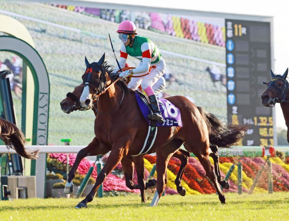 　代役の藤岡康がナミュールをＧ１勝利に導いた（撮影・石湯恒介）