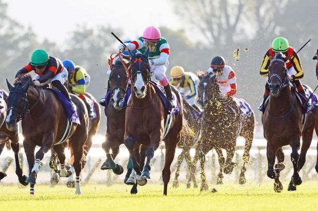 マイルＣＳ】ナミュールＧ１初Ｖ 藤岡康大仕事 ムーア落馬で急きょ騎乗 