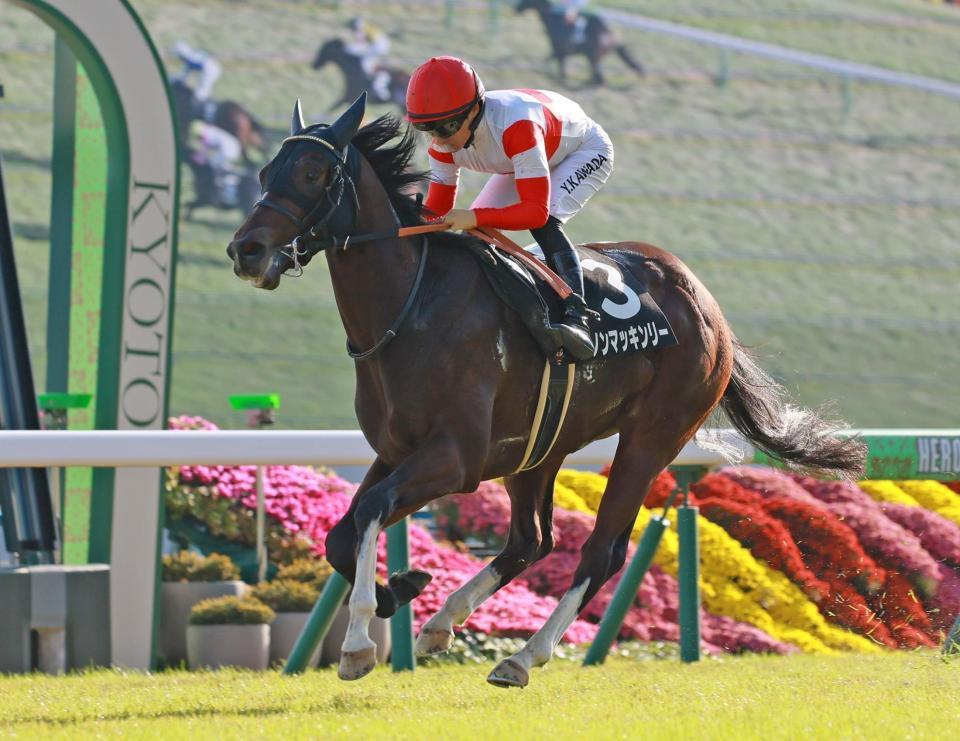 　秋明菊賞を制したダノンマッキンリー＝京都競馬場（撮影・石湯恒介）