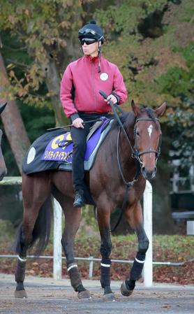 【ジャパンＣ】リバティアイランド　全休日は厩舎でゆったり　片山助手「上手に競馬を運べるかが鍵」