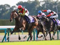 　三冠を達成したリバティアイランド＝京都競馬場（撮影・石湯恒介）