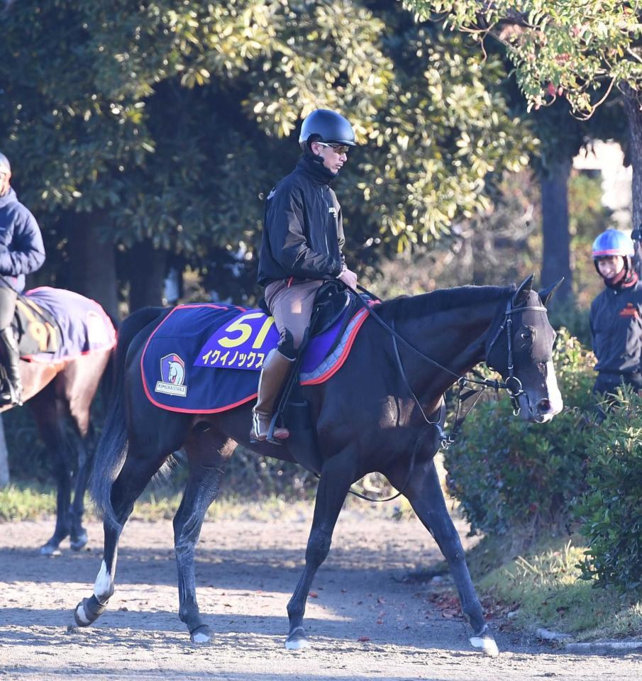 　ＧⅠ６連勝を狙う世界ランキング１位のイクイノックス＝撮影・園田高夫