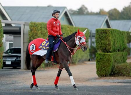 【ジャパンＣ】パンサラッサ　賞金王譲らん！１年ぶり国内戦でアッと驚く逃走劇魅せる