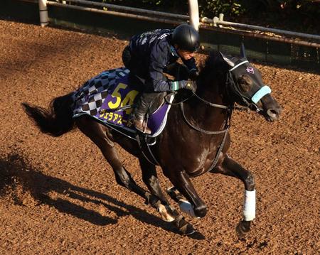 【ジャパンＣ】ヴェラアズール　史上２頭目の連覇へ　渡辺師「去年の出来に近づきつつある」