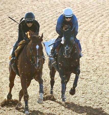 【ジャパンＣ】タイトルホルダー　復調ムード　滑らかに加速！独特のパワフルな走り戻った