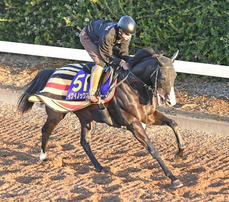 【ジャパンＣ】２強イクイノックス＆リバティアイランドがともに１枠に