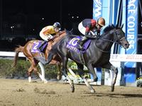 　浦和記念を制したディクテオン（右）左は２着のミトノオー