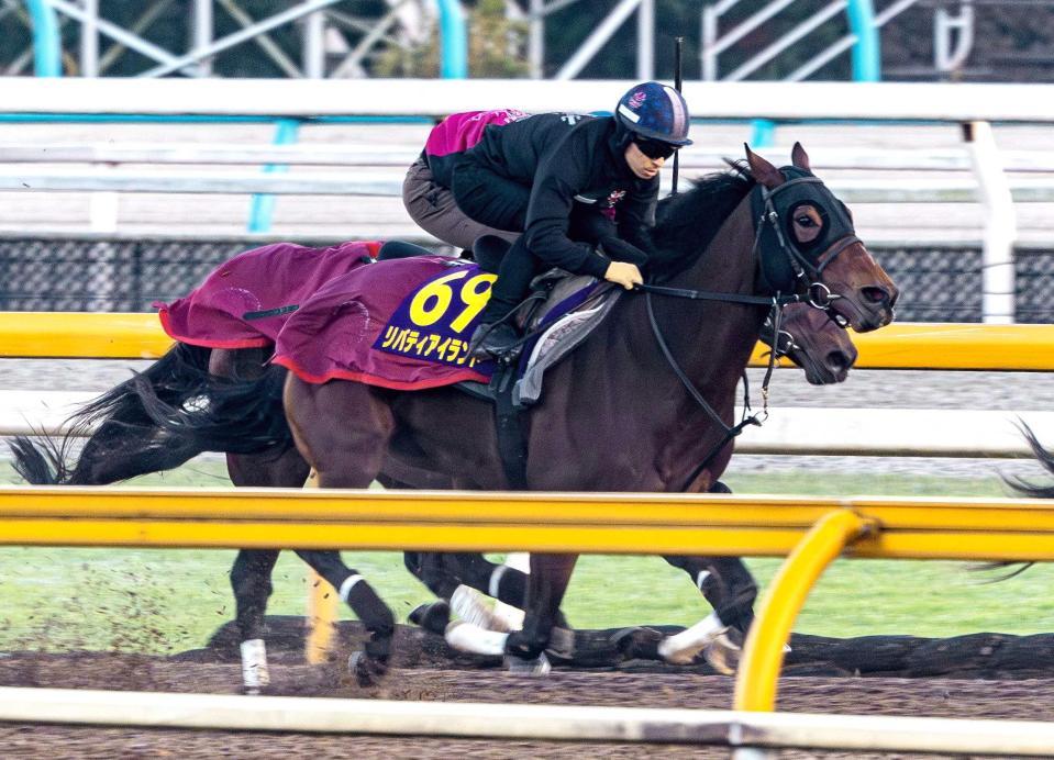 　文句なしの態勢を整えたリバティアイランド（撮影・石湯恒介）