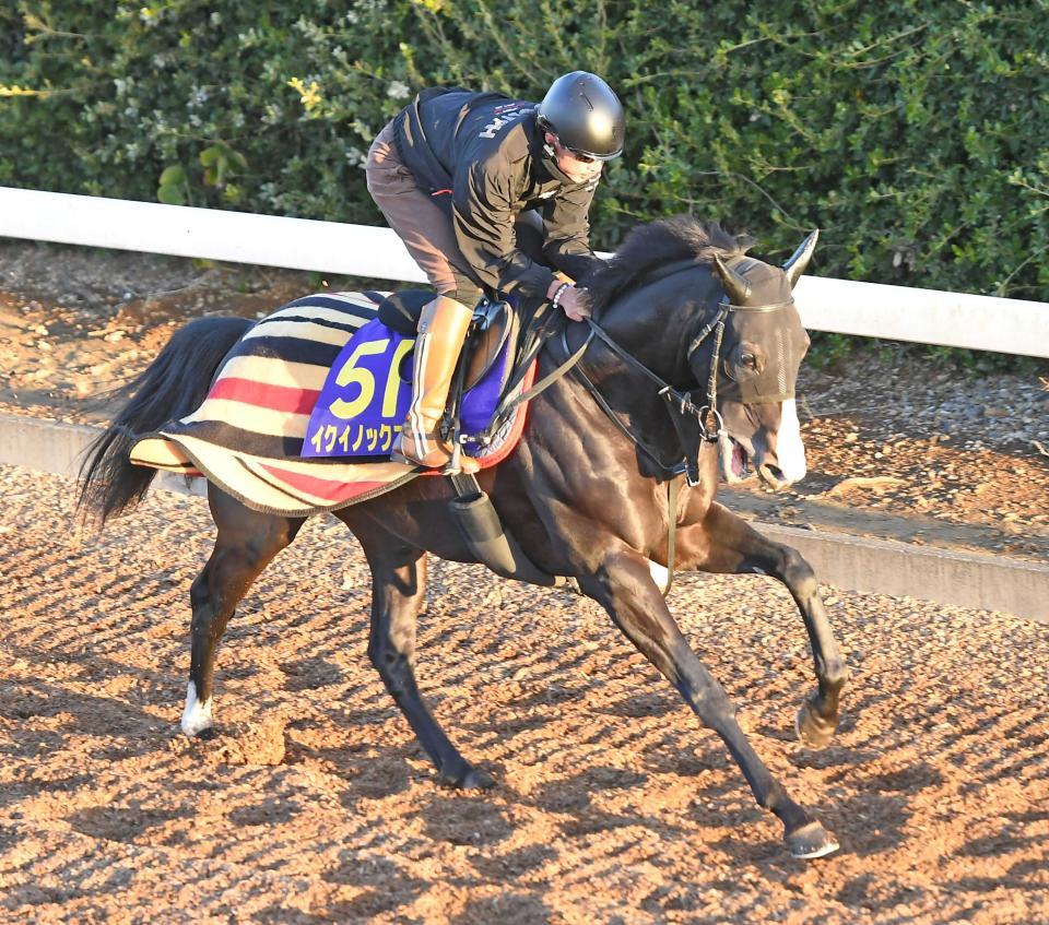 　イクイノックス