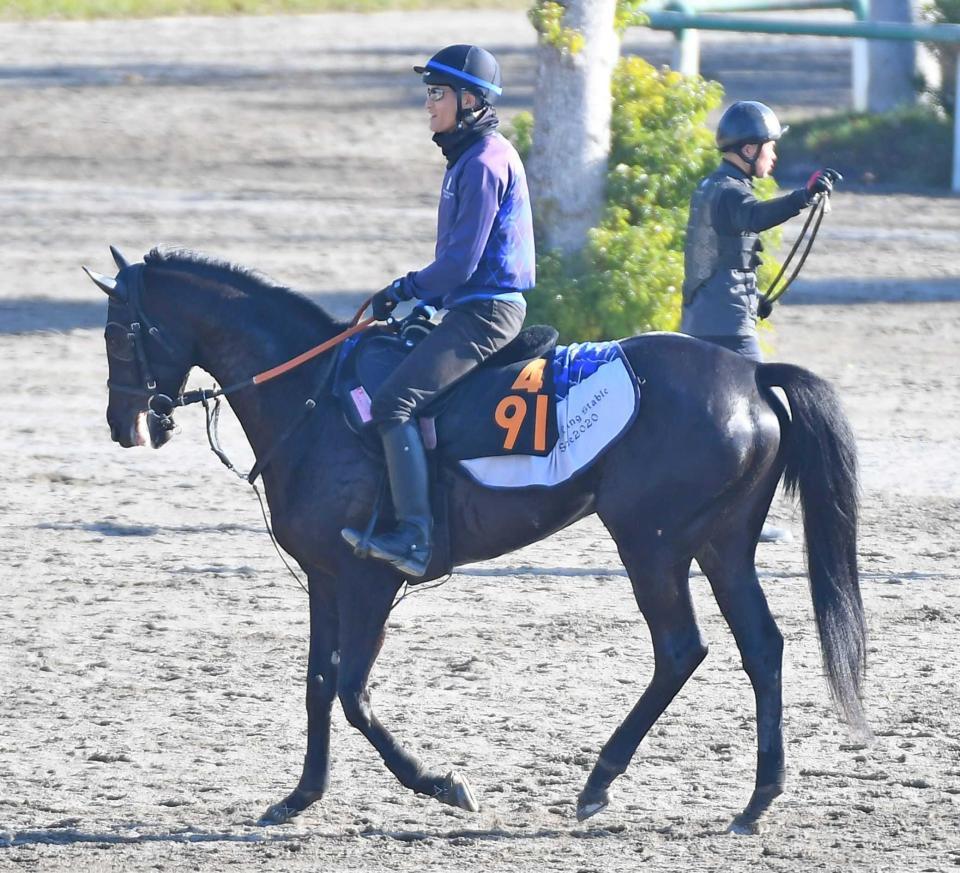 エアグルーヴ 3歳新馬戦 デビュー戦 単勝馬券 不的中 換金不可 エアグルーヴ 3歳新馬戦 デビュー戦 単勝馬券 不的中 換金不可