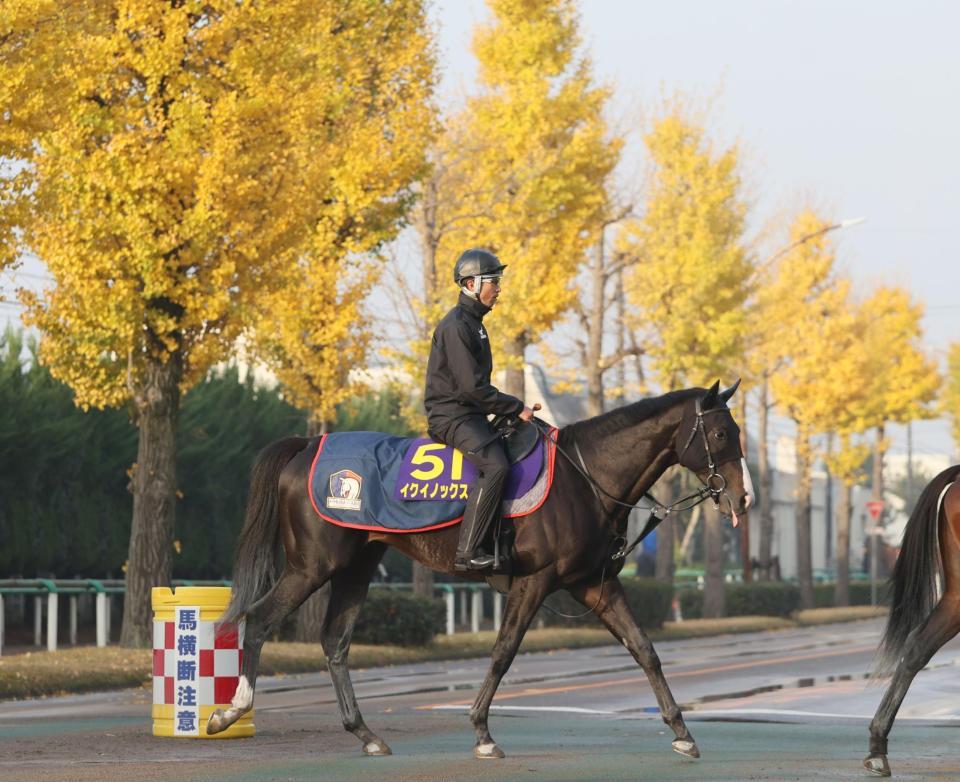 有馬記念】イクイノックスが首位 ファン投票第１回中間発表