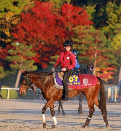 【ジャパンＣ】リバティアイランド上向き　中内田師「前回より上がっています」