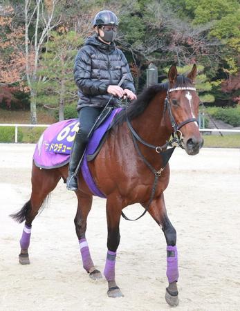 【ジャパンＣ】やや高速傾向の馬場　見逃せない同じ舞台でレコードＶを決めた実績馬