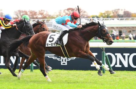 【新馬戦】ゼーゼマン　良血初陣Ｖ発進　近親にＧ１・６勝馬ブエナビスタ　マーカンド「直線でいい走りをしてくれた」