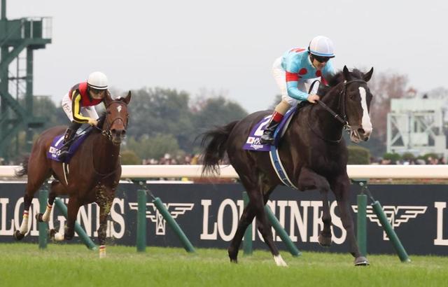 ジャパンC】イクイノックス圧勝 リバティアイランドは4馬身差2着