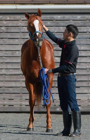 　大いなる可能性を感じさせるセラフィックコール
