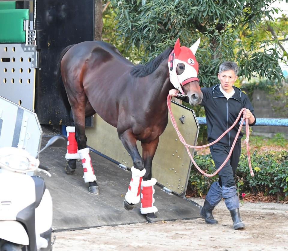 　引退が決まったパンサラッサ