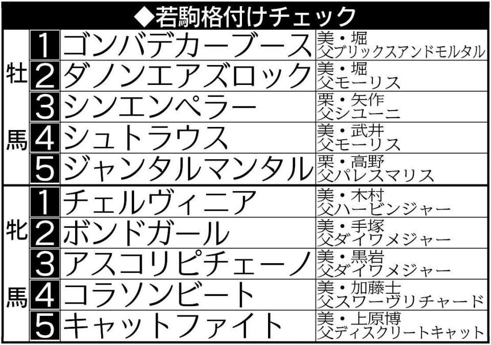 　若駒格付けチェック