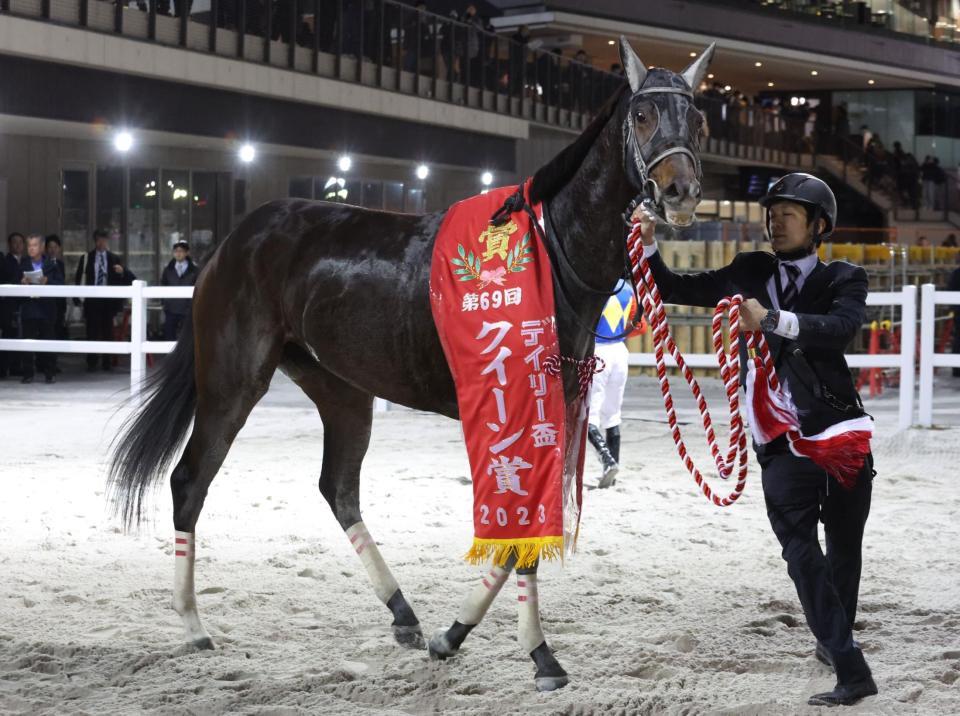 　クイーン賞を制したライオットガール（撮影・山崎力夫）