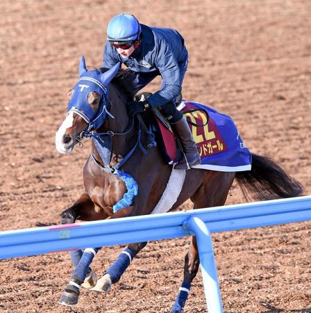 【阪神ＪＦ】ボンドガール　素軽い動き　レベル高い新馬戦の勝者として注目　手塚師「チャンスはある」