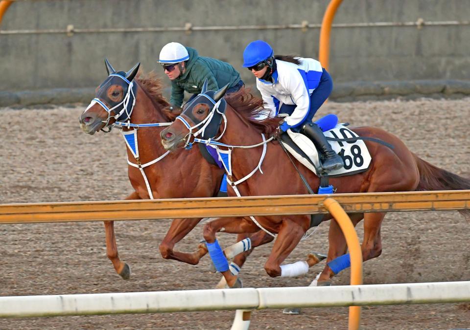 　栗東ＣＷで軽快なフットワークを披露したセラフィックコール（奥）（撮影・石湯恒介）