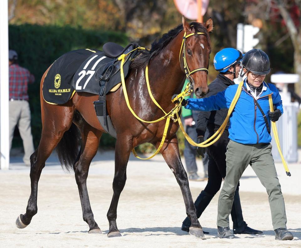 　メイショウソウタ