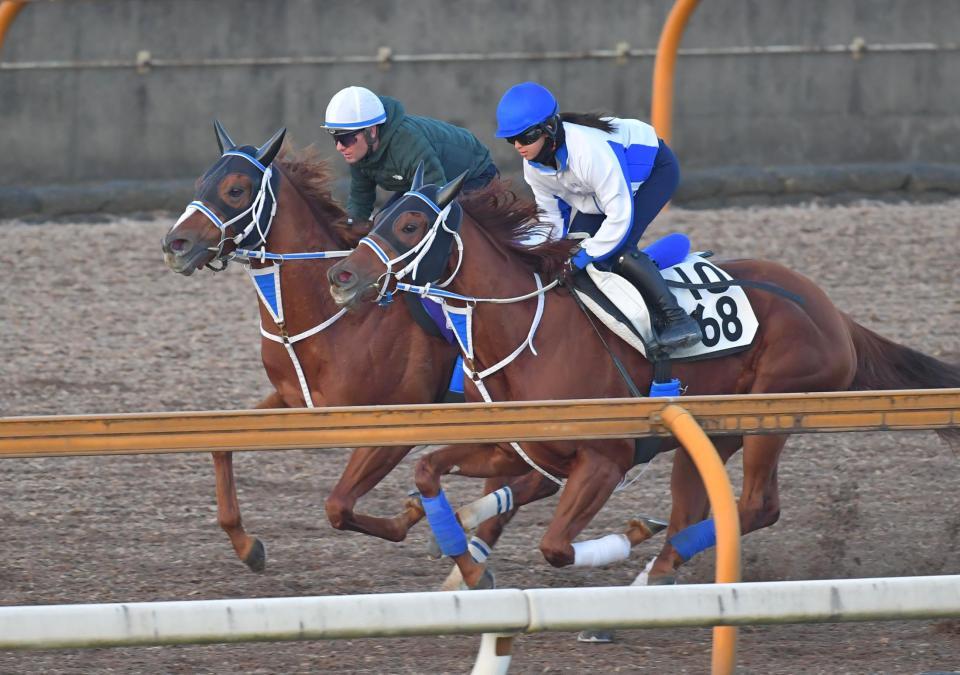 　セラフィックコール（奥）