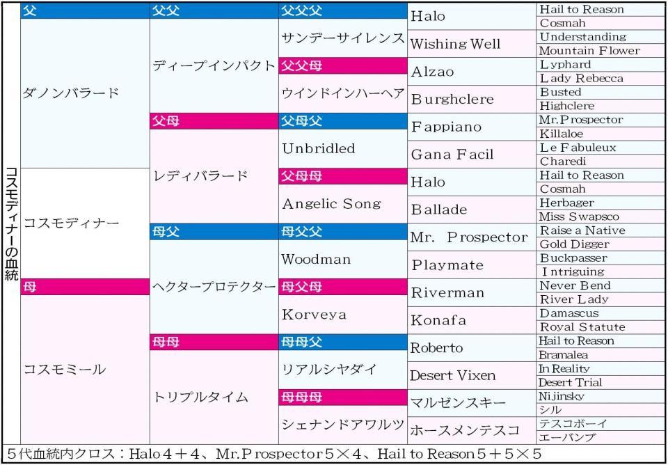 　コスモディナーの血統表