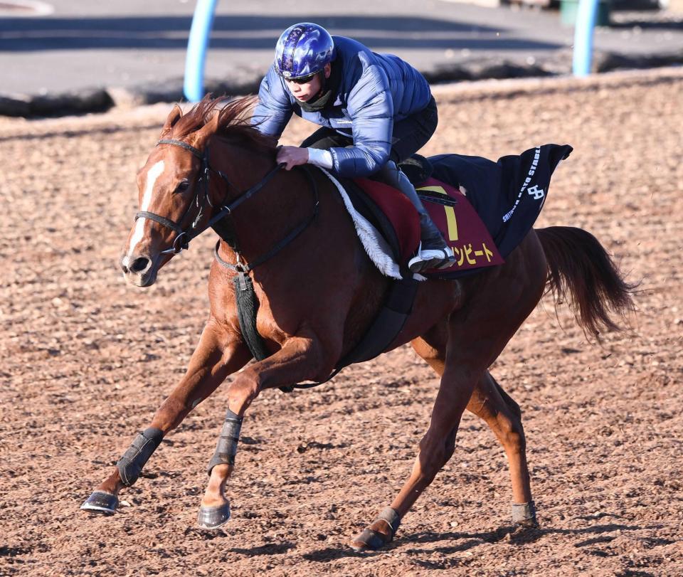 　２歳女王の座を狙う３連勝中のコラソンビート