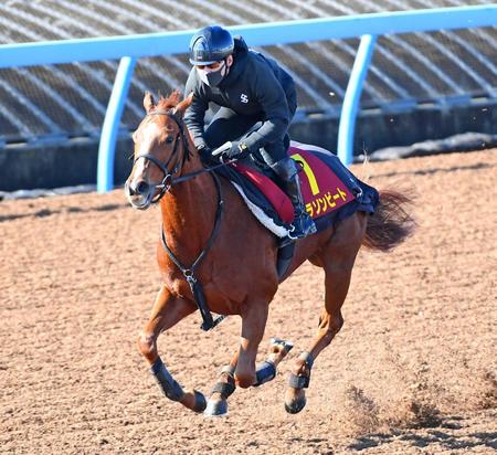 【阪神JF】コラソンビート 4連勝へ止まらない 加藤士師「絶対いい競馬できる」