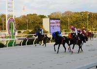 　９年ぶりに３歳牝馬で園田金盃を制覇したスマイルミーシャ（左から２頭目）＝撮影・中山伸治