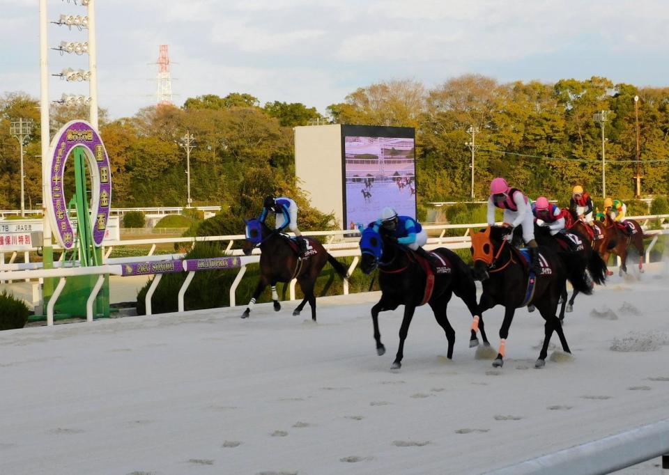 　９年ぶりに３歳牝馬で園田金盃を制覇したスマイルミーシャ（左から２頭目）＝撮影・中山伸治