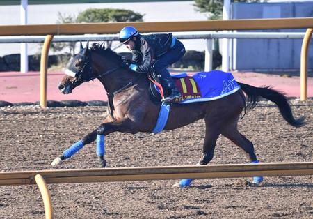 　ステレンボッシュ