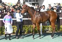 　５レースを快勝したナムラエデンと永島まなみ騎手（左）