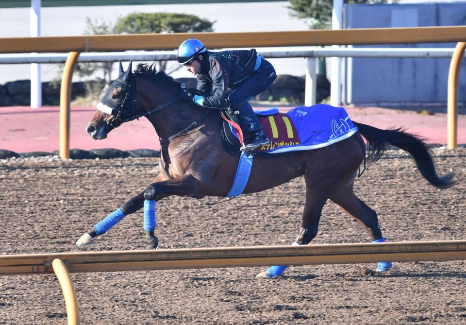 　ステレンボッシュ