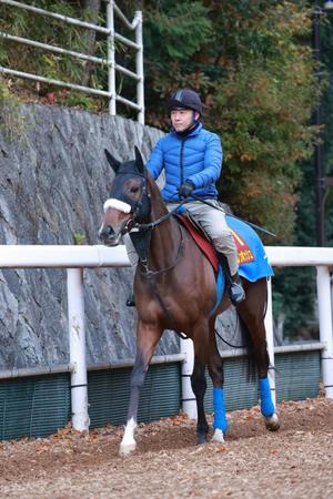 　ステレンボッシュ