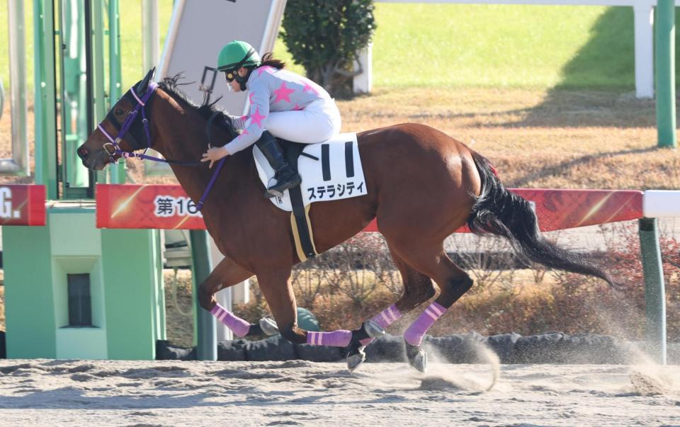 　逃げ切ったステラシティと小林美