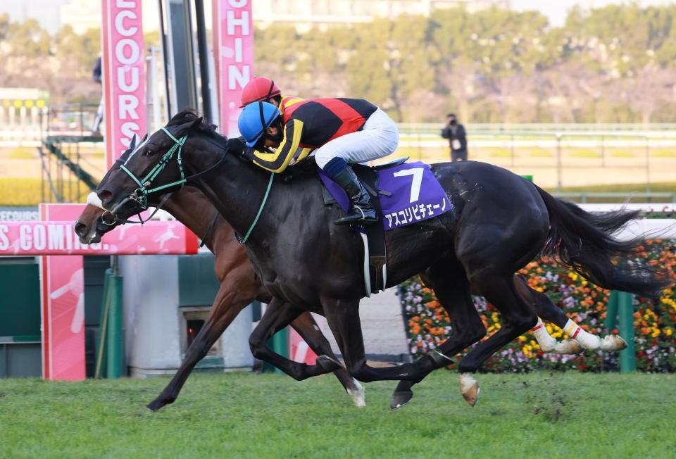 競馬 キタサンブラック 菊花賞 北村宏 サイン 写真 - スポーツ選手